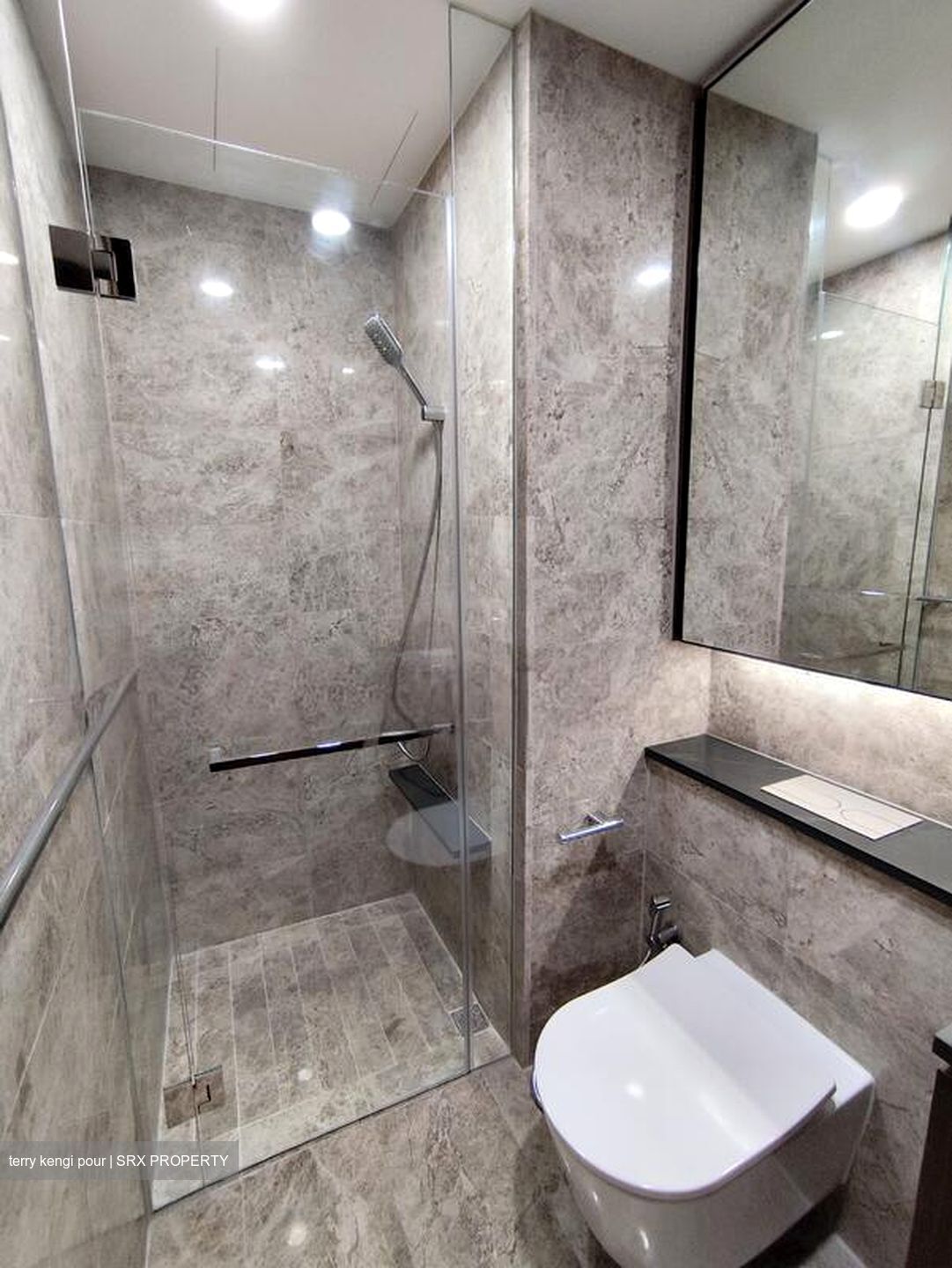 Kopar At Newton (D9), Apartment #519253151
